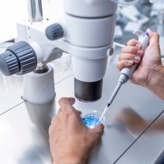 Fertility lab doctor preparing embryo cultivation plates