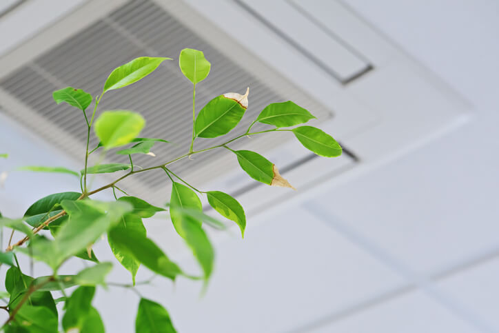 Indoor Air Quality - What You Need To Know