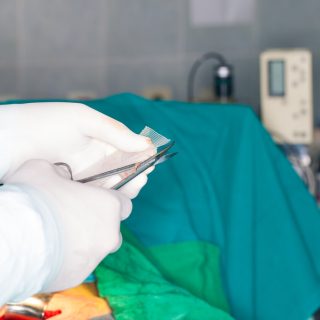 Surgeon cutting a piece of hernia mesh