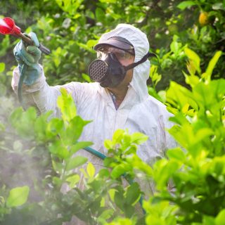 Farm worker spraying pesticide