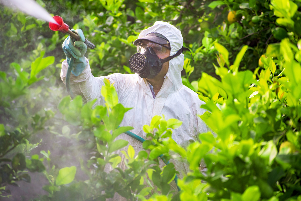 Farm worker spraying pesticide