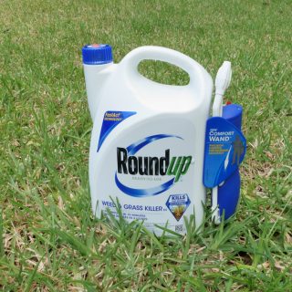 Container of Roundup pesticide on grass lawn.