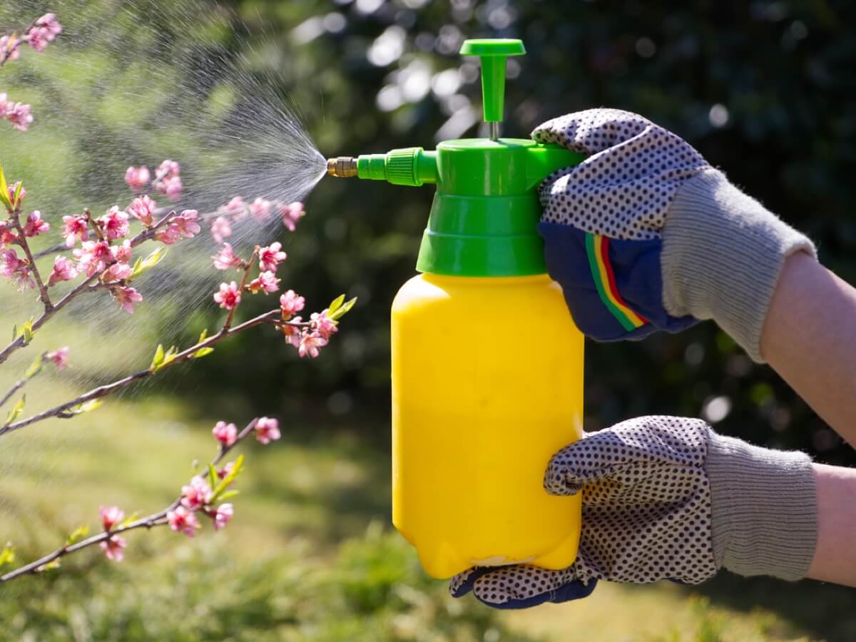 Replacing glyphosate in the garden won't be easy